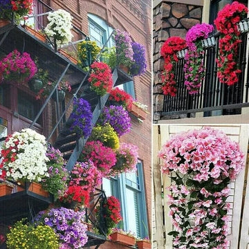 Bountiful Blooms Hanging Duo